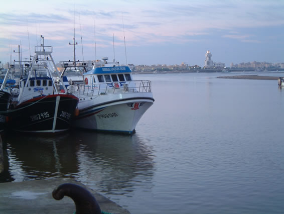 AMANECER02.jpg