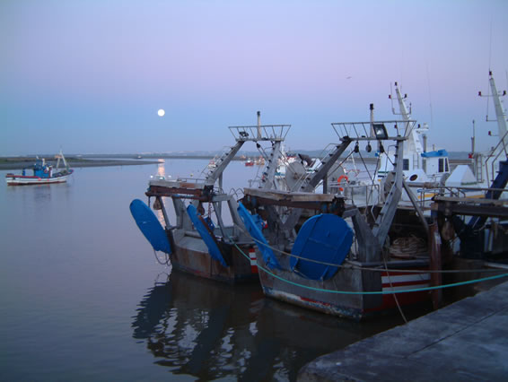 AMANECER03.jpg