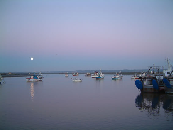 AMANECER05.jpg