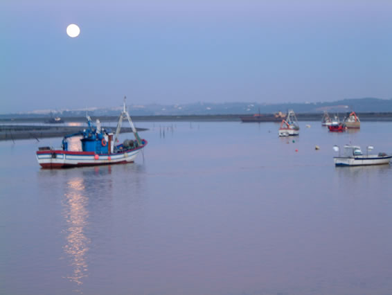 AMANECER06.jpg