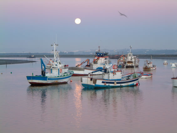 AMANECER13.jpg