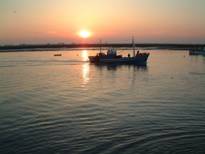ATARDECER01.jpg