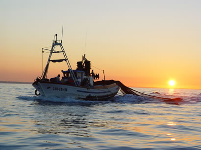 BARCO03.jpg