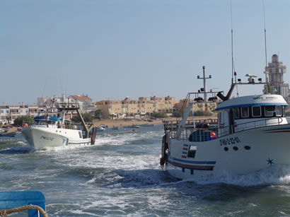 BARCOS02.jpg